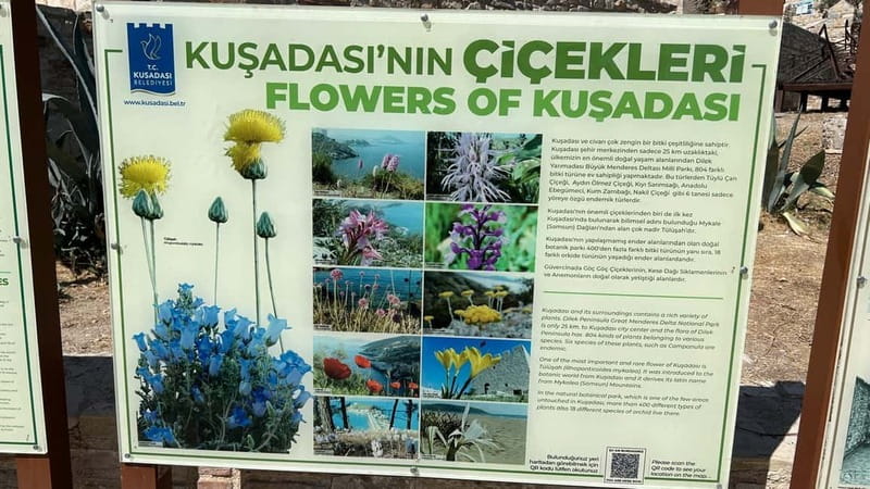 Ephesus tours wholesalerShopTours from cruise port Kusadasi - Carpet, pottery, leather, and jewelry stops