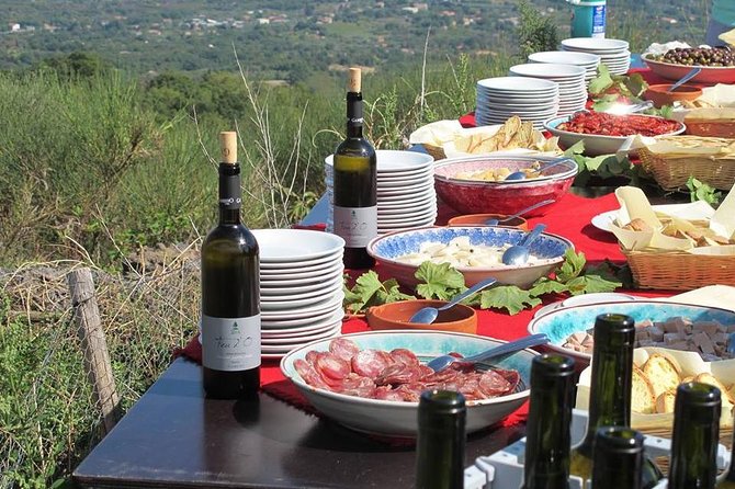 Etna Private tour from Messina Cruise Terminal + Lunch at Winery - Guides who shape the day