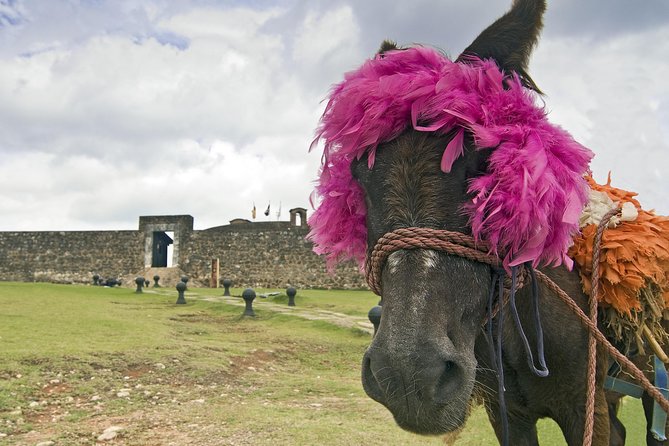 Explore Puerto Plata's Best & Cable Car - Shore Excursion - Puerto Plata’s central park shows the city’s Victorian side