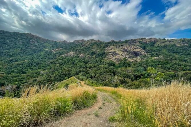 Fiji Lautoka Shore Excursions Tour - Why this Lautoka tour works well for a short port visit