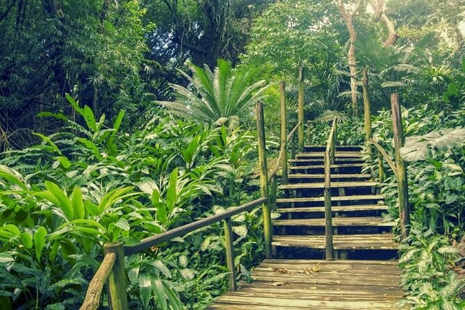 Fiji Lautoka Shore Excursions Tour - A short visit to Viseisei and Fiji’s ancestral story
