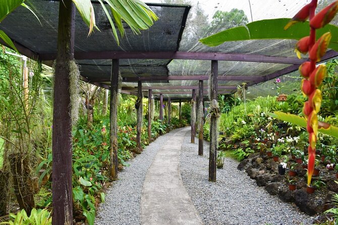 Fiji Lautoka Shore Excursions Tour - Who should book this four-hour outing