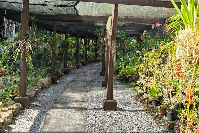 Fiji Lautoka Shore Excursions Tour - Practical details that can make the day smoother
