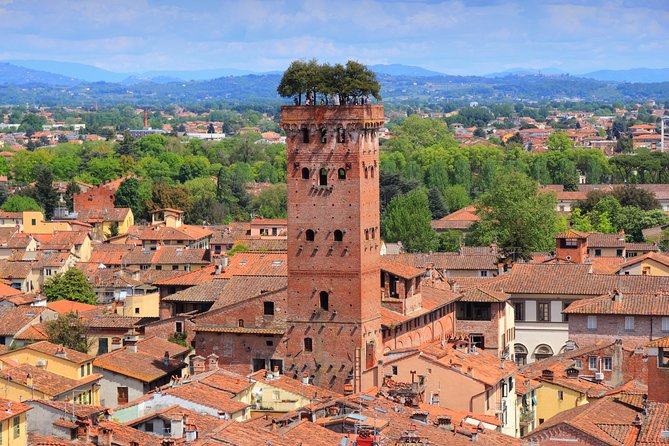 Florence and Lucca Shore Excursion from Livorno Port - Key points to know before booking