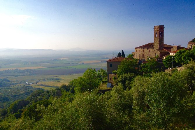 Florence and San Gimignano Private Tour from Livorno - The driving guide makes the difference