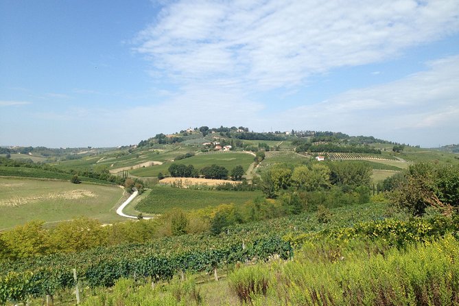 Florence and Wine Tasting Private Tour from Livorno - Key points to know before booking