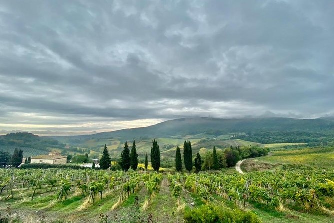 Florence Highlights from Livorno Port - Three hours in Florence requires a firm plan
