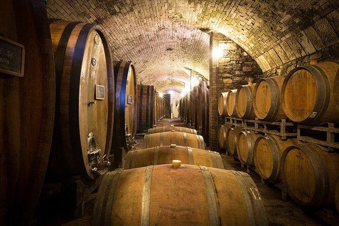 Florence & Pisa Shore Excursion with Chianti Wine Tasting - What the $440.05 price really covers