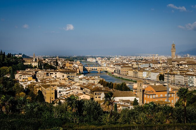 Florence & Pisa Tour by van from Lucca or Livorno port - Who will enjoy this tour most?
