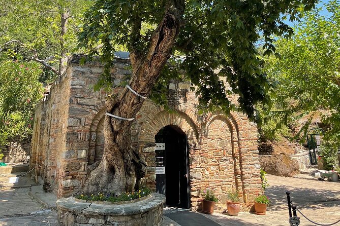 FOR CRUISERS: Best of Ephesus Tour with GUARANTEED ON-TIME RETURN - Artemis Temple and a glimpse of Saint John’s Basilica