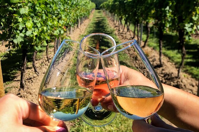 FOR CRUISERS:Kusadasi Port Private Wine Tasting and Ephesus Tour - Key points to know before you book