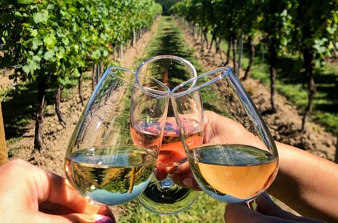 FOR CRUISERS:Kusadasi Port Private Wine Tasting and Ephesus Tour - Kuşadası Bazaar and Pigeon Island options