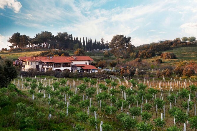 FOR CRUISERS:Kusadasi Port Private Wine Tasting and Ephesus Tour - What the $45 price really covers