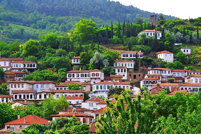 FOR CRUISERS:Kusadasi Port Private Wine Tasting and Ephesus Tour - Practical booking advice for a smooth day
