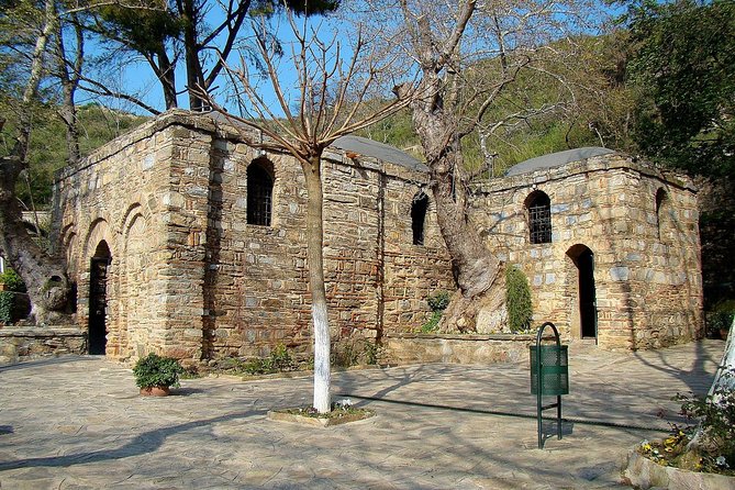 FOR CRUISERS: PRIVATE EPHESUS TOUR INCLUDES ENTRY FEES & Lunch - Transport, lunch, and what the price really covers