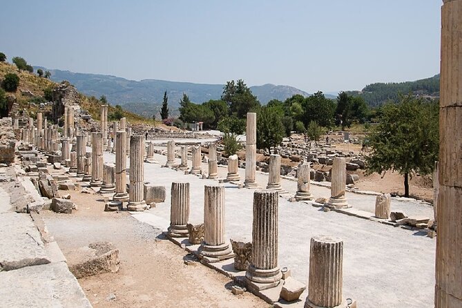 For Cruisers: SKIP-THE-LINE Ephesus Tour From Kusadasi Port - Is $210 a fair price?