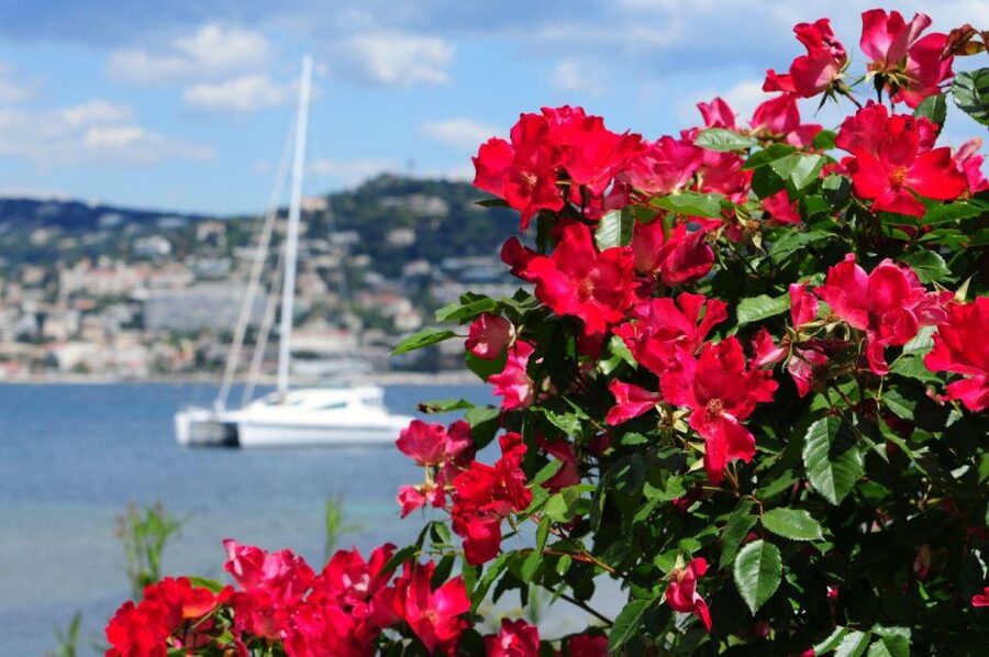 From Cannes:Shore excursion to Grasse,Antibes,St PauldeVence - Should You Book This Tour?