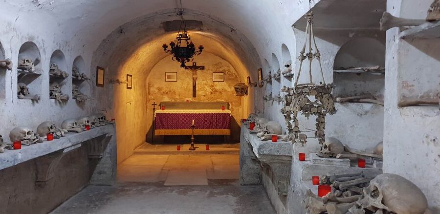 From Civitavecchia: Guided Tour of the Catacombs of St. Seba - How the $203.91 price compares with the experience