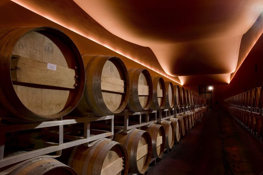 From Civitavecchia: Tuscany-Latium Wine Tour with Tastings - Booking advice for cruise passengers