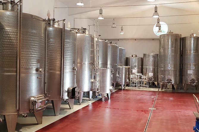 From Civitavecchia: Tuscany-Latium Wine Tour with Tastings - What the $289.40 price really covers
