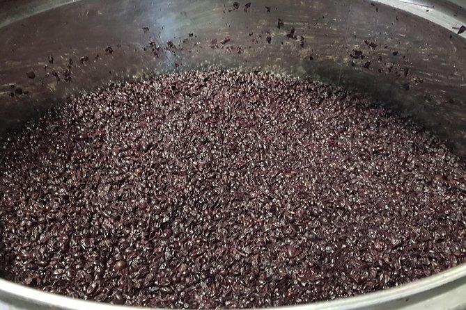 From Civitavecchia: Tuscany-Latium Wine Tour with Tastings - The pace, group size, and port-day tradeoff