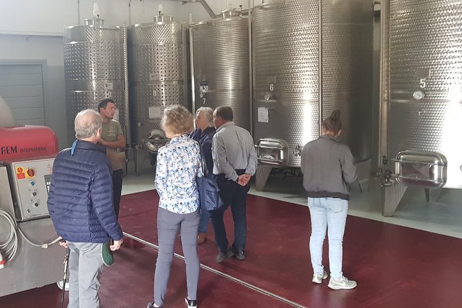 From Civitavecchia: Tuscany-Latium Wine Tour with Tastings - What the strong praise tells you