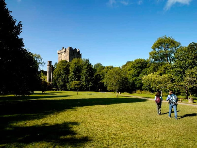 From Cork: Guided Shared Shore Excursion - Blarney Woolen Mills for Irish shopping