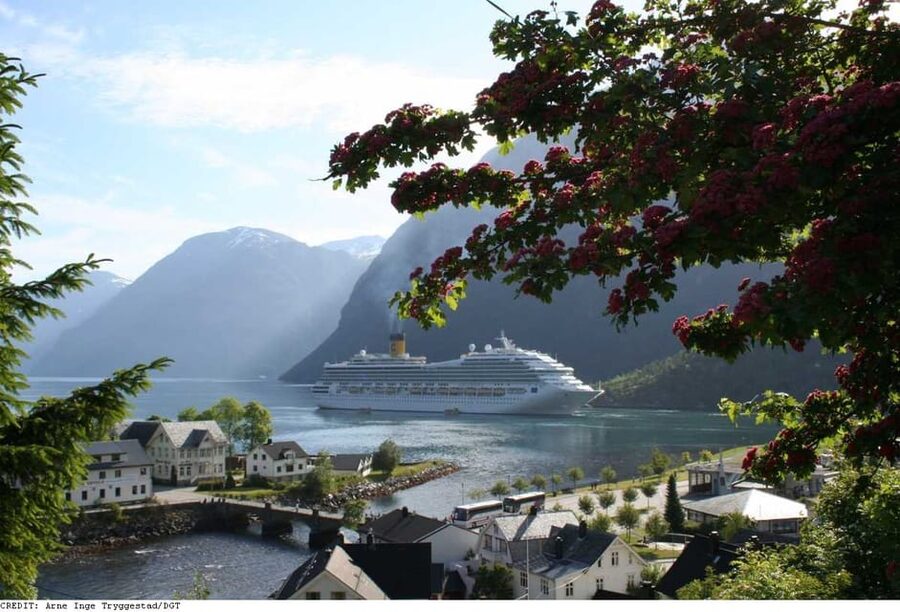 From Hellesylt: The Best of Geiranger Shore Excursion - A long climb from Hellesylt to the high mountains