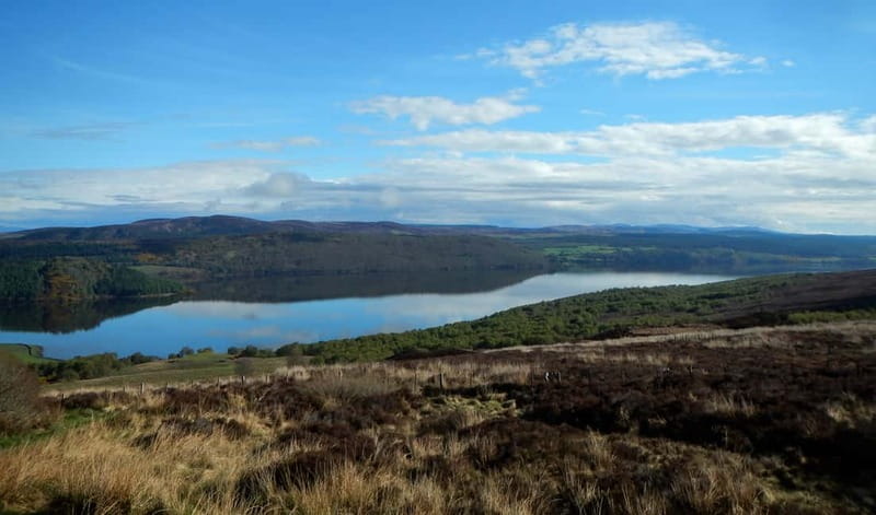 From Invergordon: Private Northern Highlands Shore Excursion - Choosing your whisky stop
