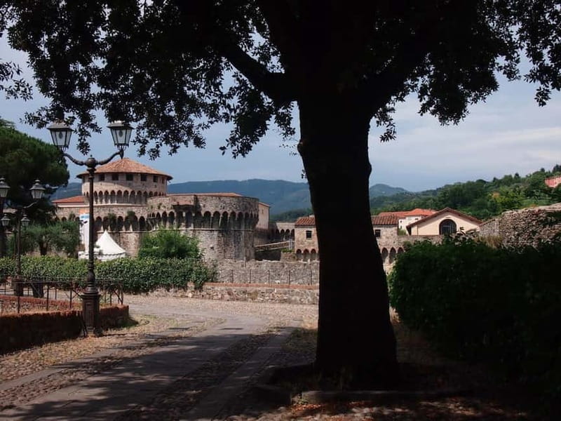 From La Spezia: Shore Excursion by Bus to Pisa - Who should book this excursion