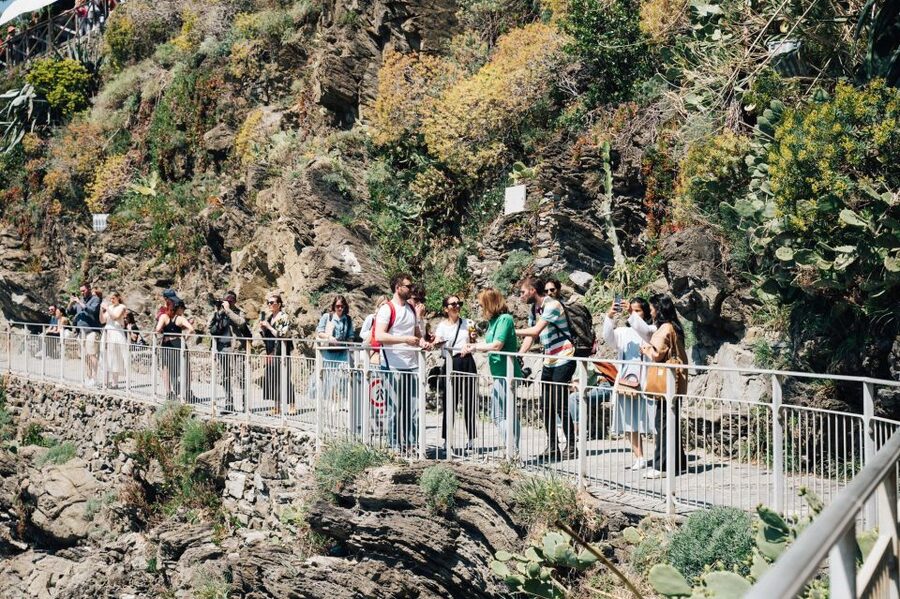 From La Spezia: Shore Excursion to Cinque Terre by Train - Manarola above the Ligurian Sea