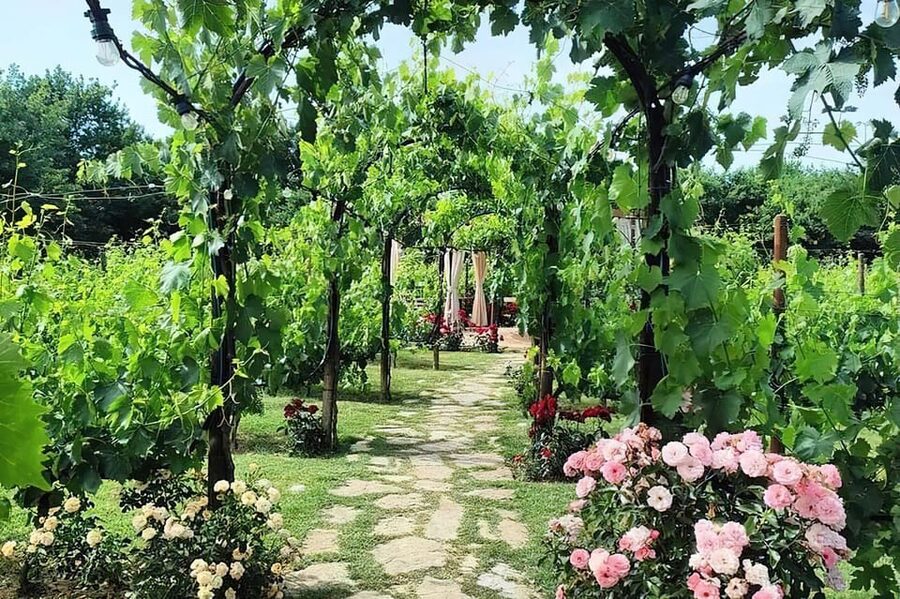 From Livorno: Authentic italian Pasta Cooking Class - From Livorno to San Gimignano by private vehicle