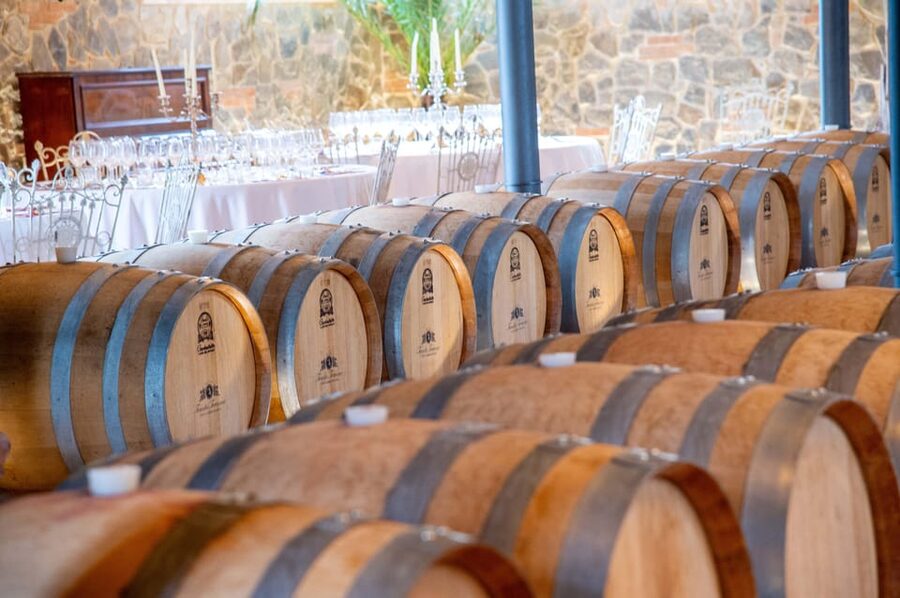 From Livorno: San Gimignano with Lunch and Tasting - Who should book this Tuscany experience?