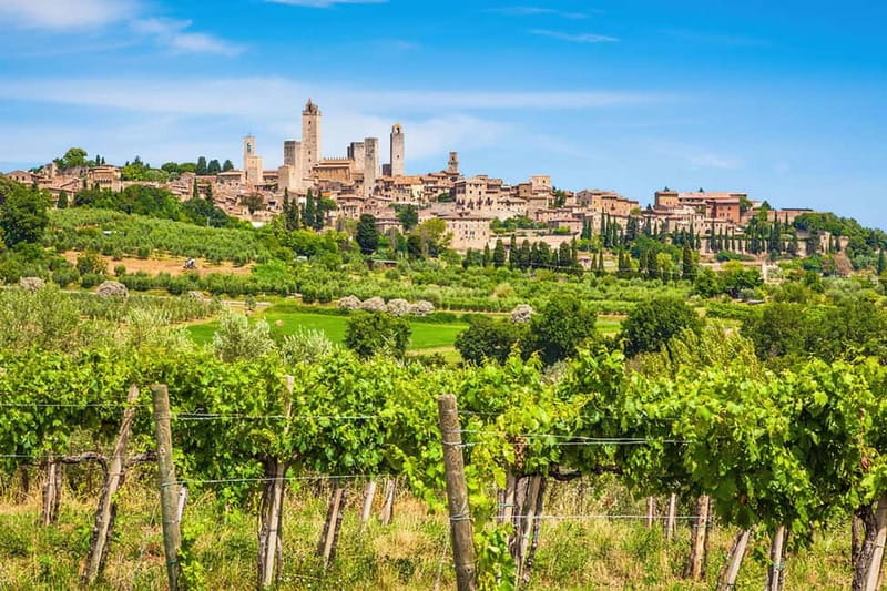 From Livorno: San Gimignano with Lunch and Tasting - Four courses at Tenuta Torciano