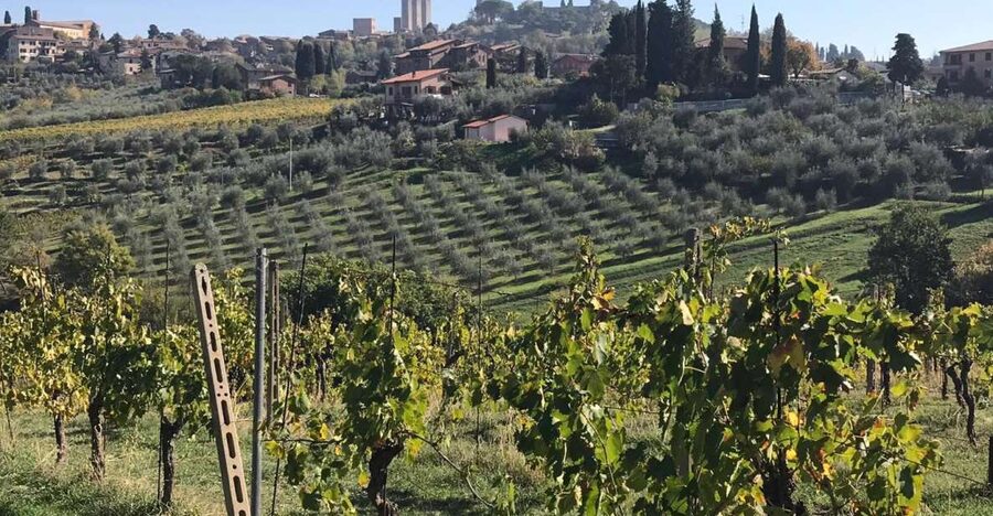From Livorno: Shore Excursion to Chianti and San Gimignano - Montefioralle and a family wine estate