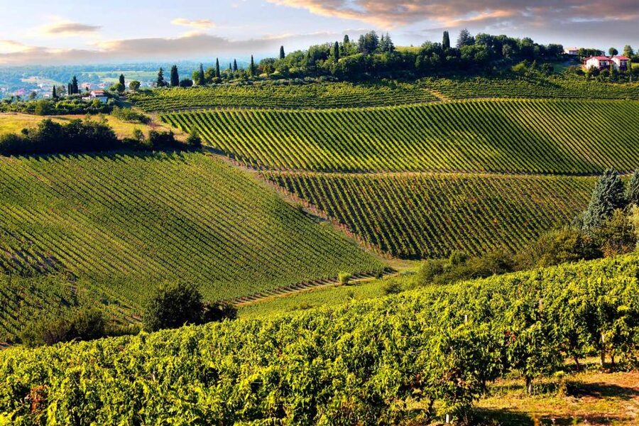From Livorno: Siena, San Gimignano & Chianti Wine Excursions - Why this Livorno day trip works