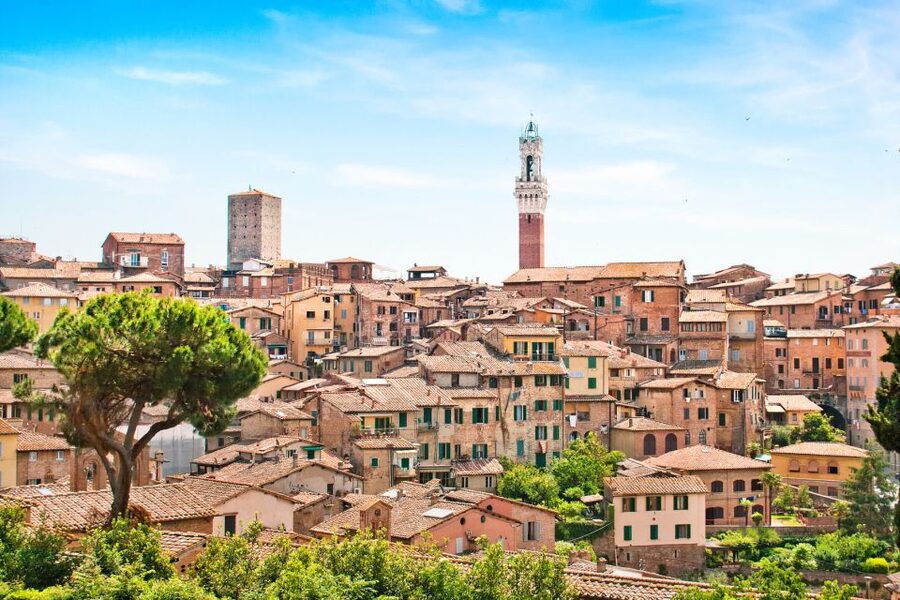From Livorno: Siena, San Gimignano & Chianti Wine Excursions - The Chianti farm and two Tuscan wines