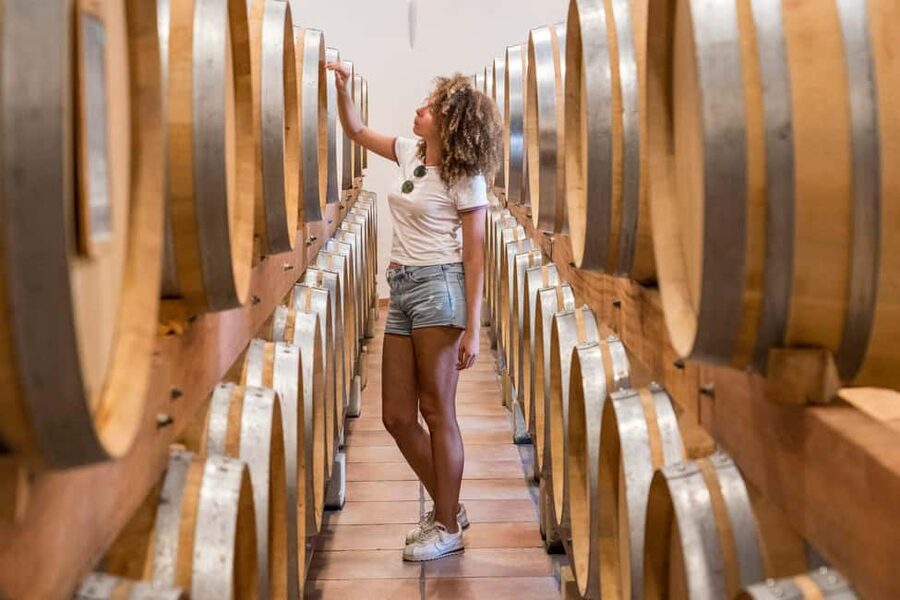 From Marseille Cruise Port : Avignon & Wine Tasting - Arriving in Avignon, the city of the Popes