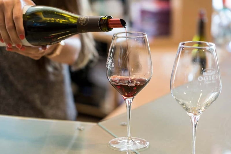 From Marseille Cruise Port : Avignon & Wine Tasting - Small-group comfort and guide quality