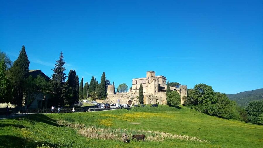 From Marseille Cruise Port: Luberon Villages - Who will enjoy this Luberon day trip