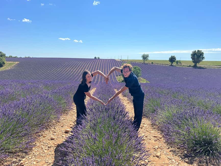 From Marseille: Valensole Lavenders Tour from Cruise Port - First views across the lavender fields