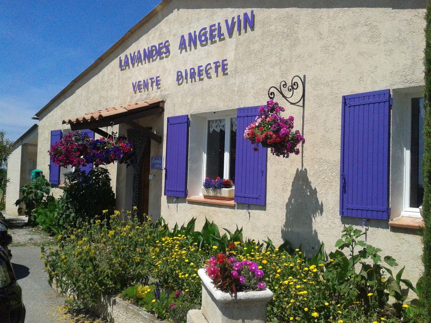 From Marseille: Valensole Lavenders Tour from Cruise Port - What you learn at the lavender producer