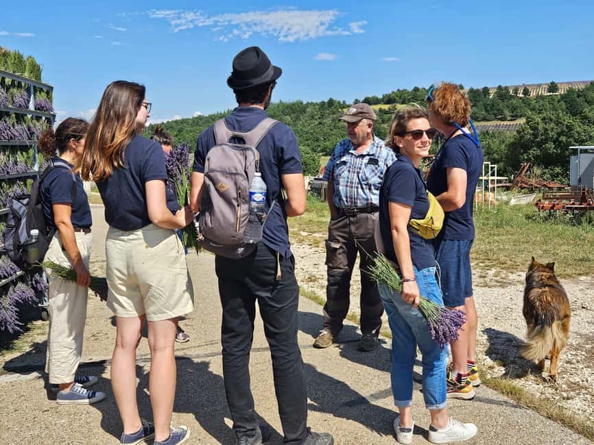 From Marseille: Valensole Lavenders Tour from Cruise Port - Lunch and village time in Valensole