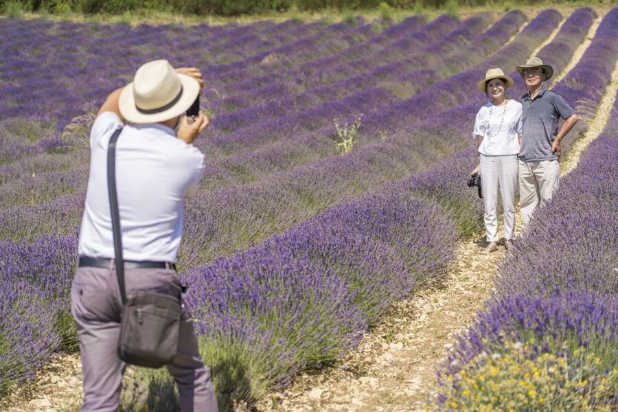From Marseille: Valensole Lavenders Tour from Cruise Port - The second field stop and the ride home
