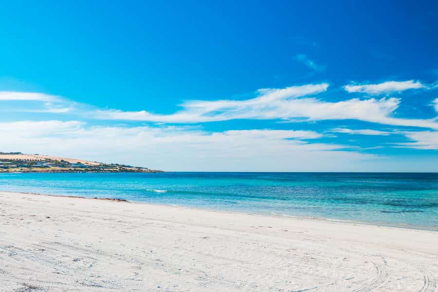 From Penneshaw: Kangaroo Island Shore Excursion Tasting Tour - Meeting your guide at Penneshaw