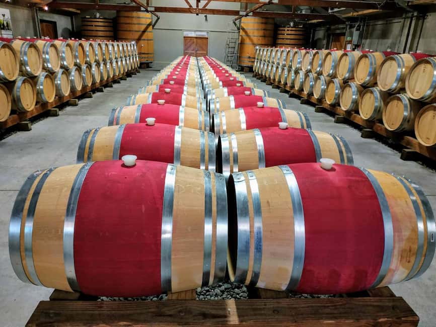 From Picton: Marlborough Wine Shore Excursion - Key points at a glance