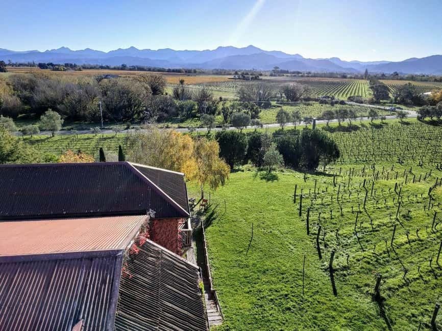 From Picton: Marlborough Wine Shore Excursion - Four to five cellar doors, with room for variety
