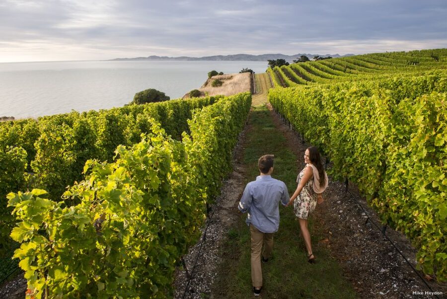 From Picton: Marlborough Wine Trip Shore Excursion - A chocolate stop on the way back