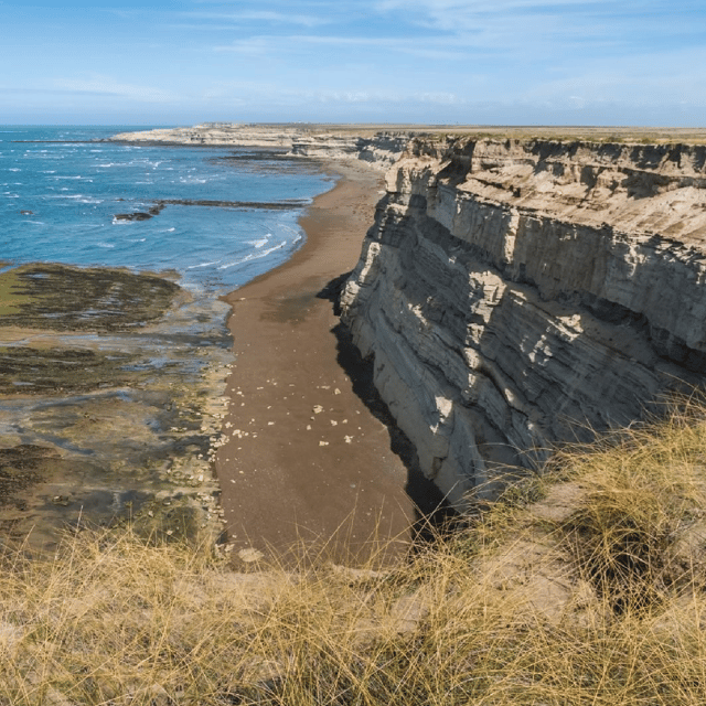 From Puerto Madryn: Peninsula Valdés Shore Excursion - Accessibility and walking expectations