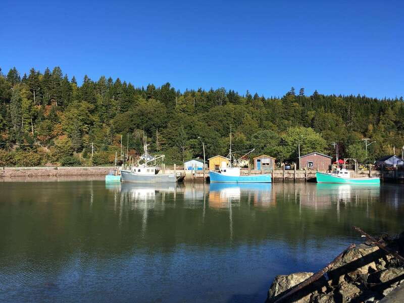 From Saint John: Bay of Fundy Bus Trip for Cruise Passengers - Key points at a glance